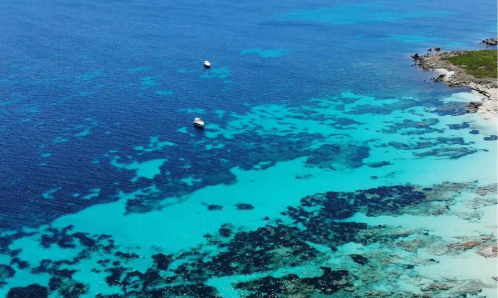 Escursioni all’Isola di Mal di Ventre