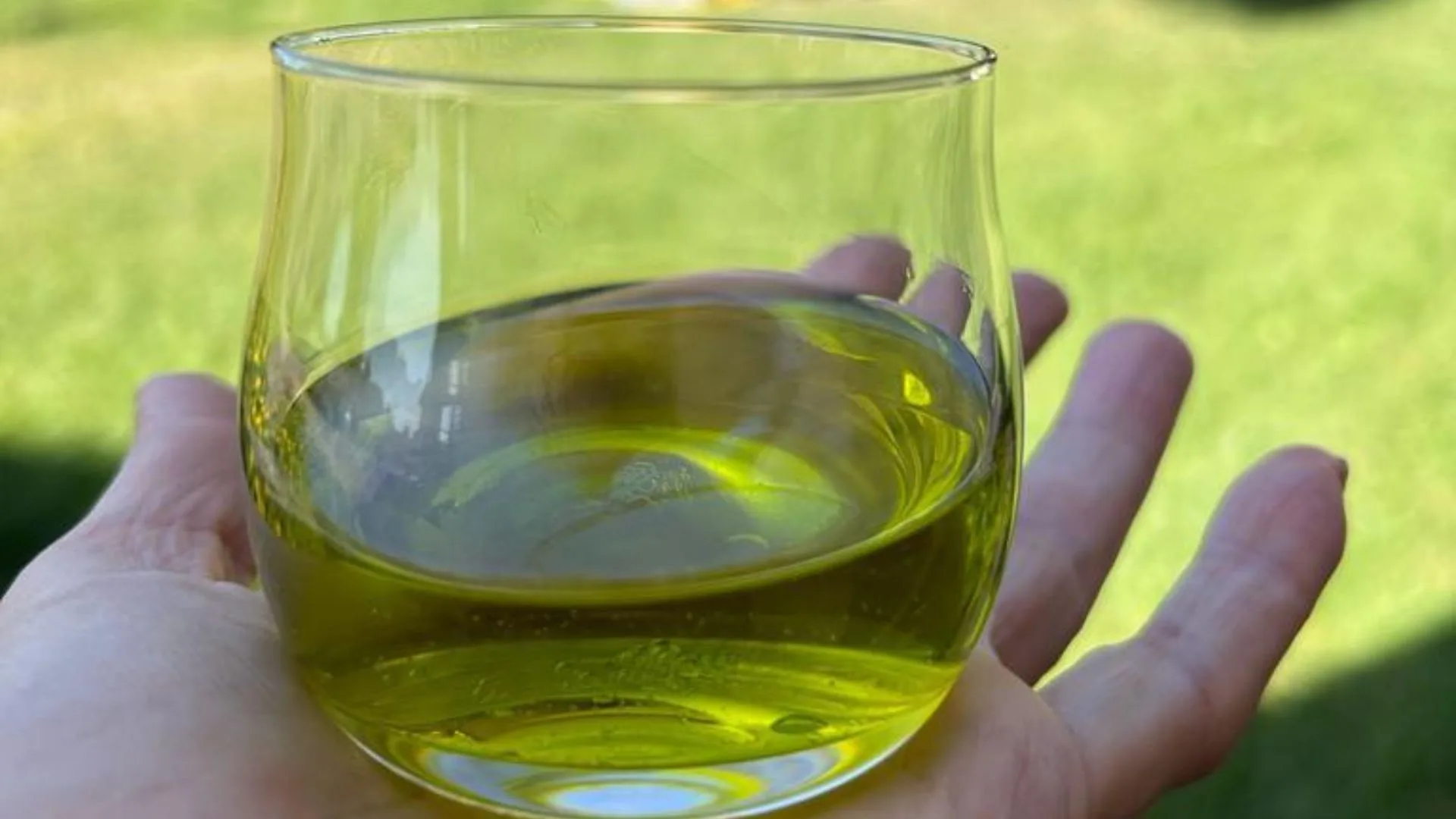 Visita a un Frantoio e degustazione dell'olio — foto 4