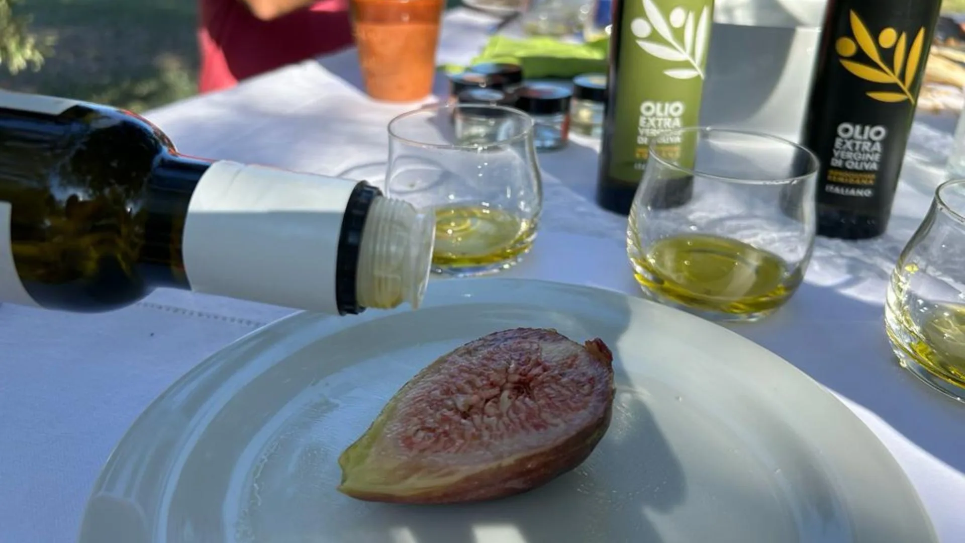 Visita a un Frantoio e degustazione dell'olio — foto 5
