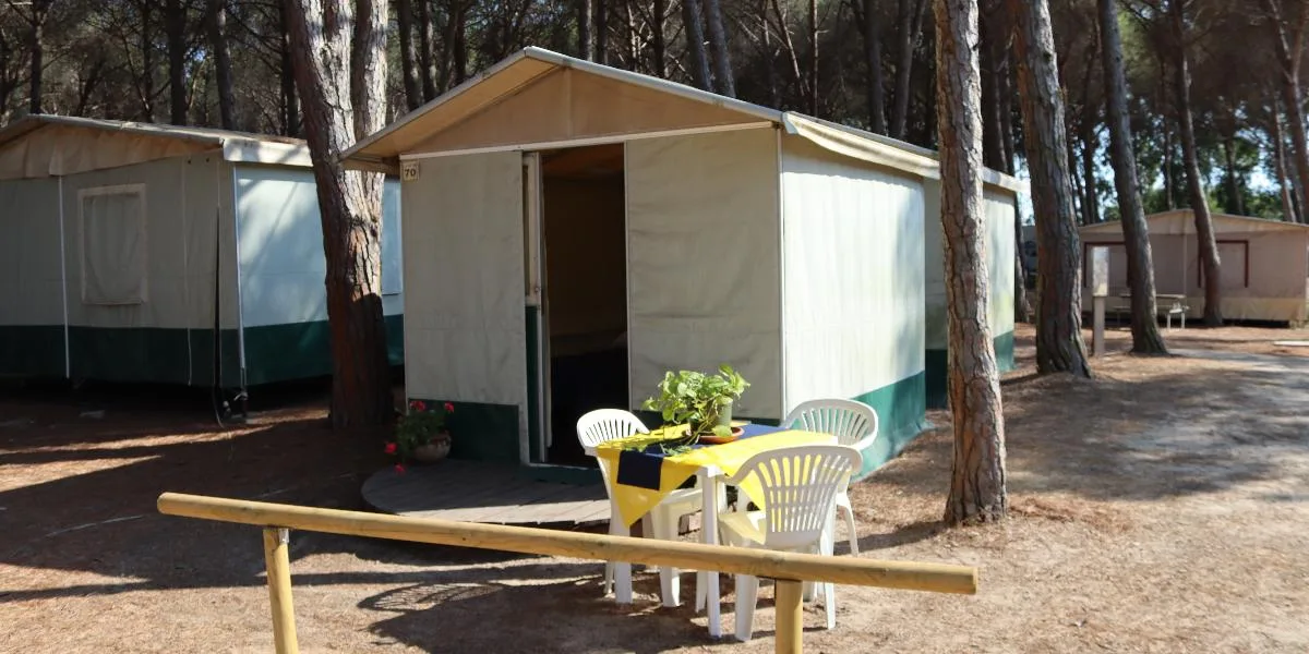 Lodge & Mini Lodge