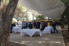 Animazione ed Eventi